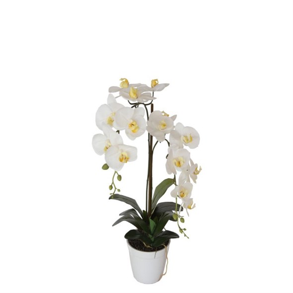 Искусственное растение White Orchid 65 - фото 41345