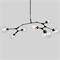 Люстра Branching Bubbles 7 Black в стиле Lindsey Adelman - фото 26896 Люстра Branching Bubbles 7 Black в стиле Lindsey Adelman - фото 26896