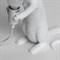 Настольная Лампа Мышь Mouse Lamp #1 H25 см Белая в стиле Seletti - фото 27259 Настольная Лампа Мышь Mouse Lamp #1 H25 см Белая в стиле Seletti - фото 27259