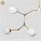 Люстра Branching Bubbles 7 Gold в стиле Lindsey Adelman - фото 28563 Люстра Branching Bubbles 7 Gold в стиле Lindsey Adelman - фото 28563