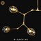 Люстра Branching Bubbles 7 Gold в стиле Lindsey Adelman - фото 28573 Люстра Branching Bubbles 7 Gold в стиле Lindsey Adelman - фото 28573