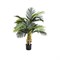 Искусственное растение Palm tree 120 - фото 41327