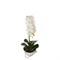 Искусственное растение White Orchid 46 - фото 41341
