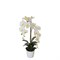 Искусственное растение White Orchid 65 - фото 41345