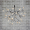 Люстра Heracleum 2 Small D72 черный в стиле Moooi - фото 6810 Люстра Heracleum 2 Small D72 черный в стиле Moooi - фото 6810