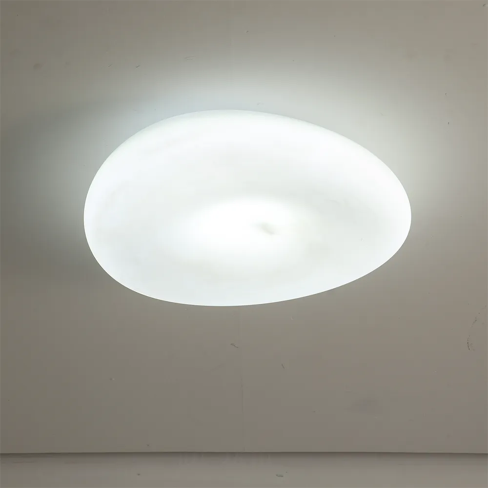 Светильник потолочный Linea Light D52