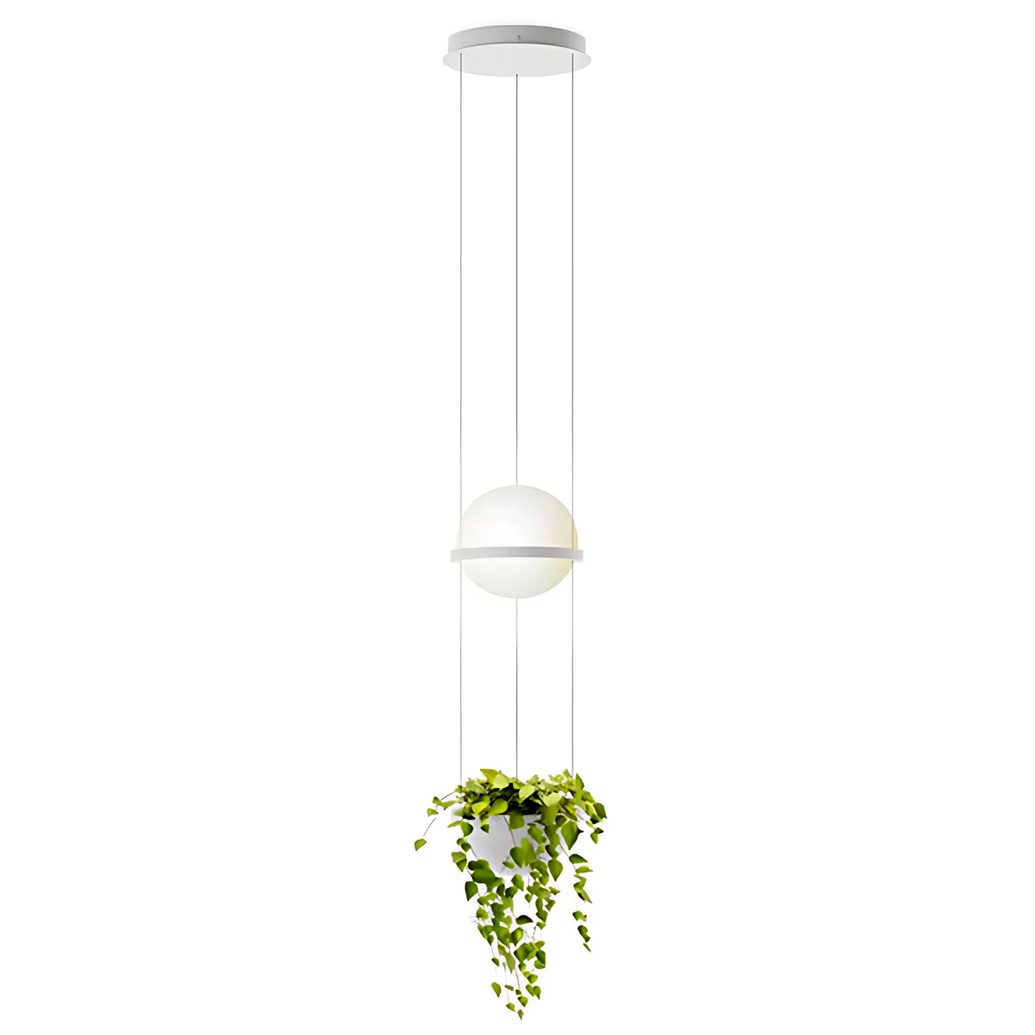 Светильник Palma Pendant
