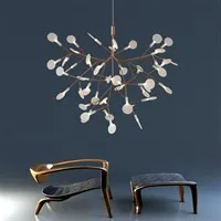 Heracleum