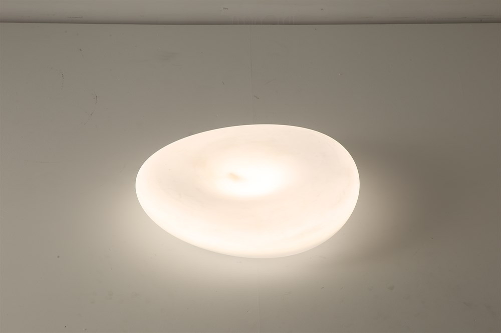 Светильник потолочный Linea Light D45
