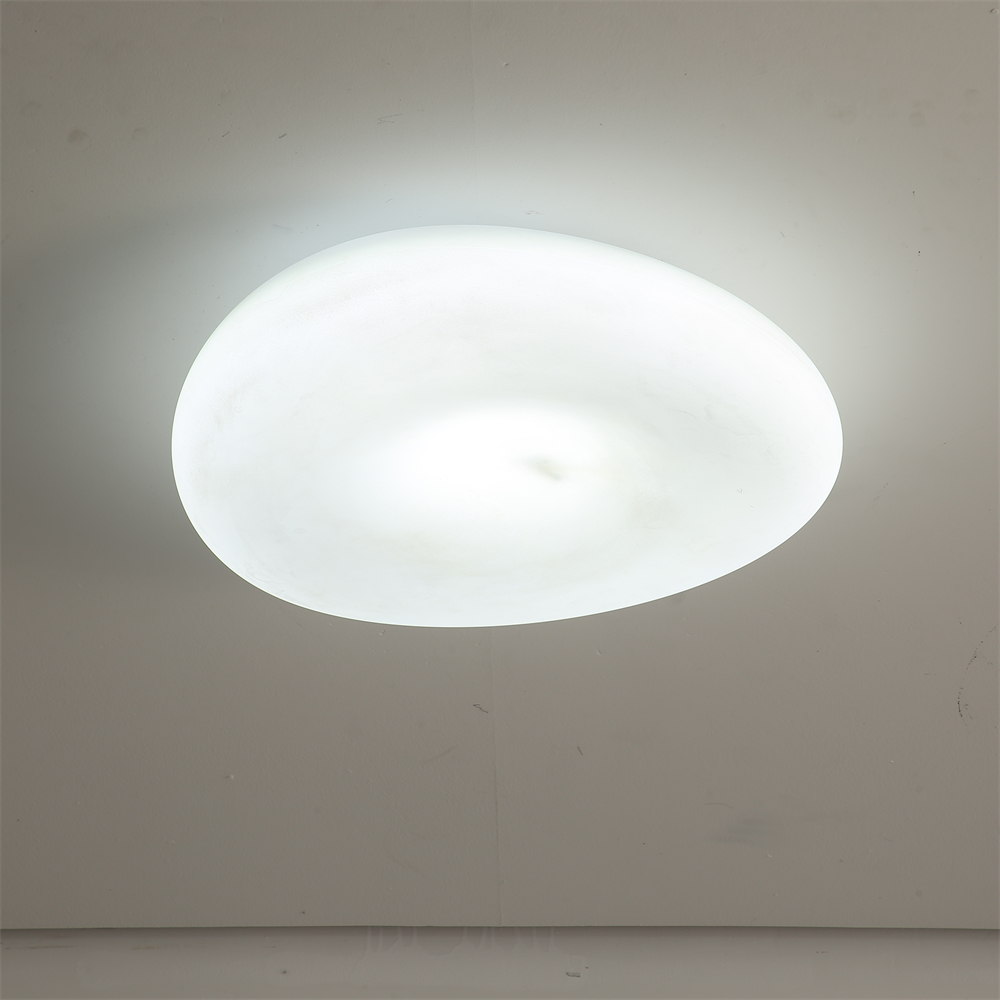 Светильник потолочный Linea Light D45